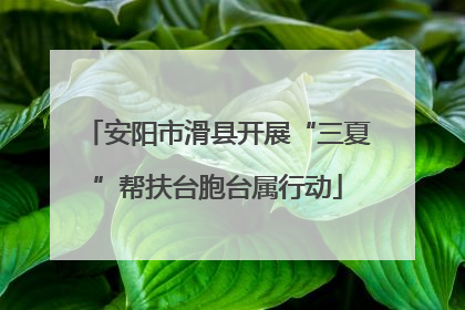 安阳市滑县开展“三夏”帮扶台胞台属行动
