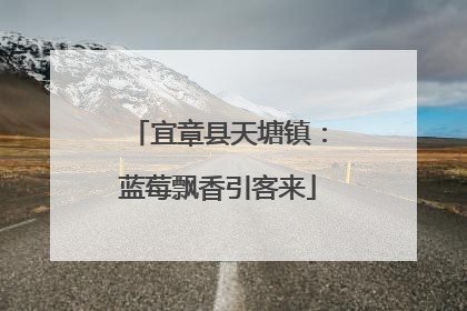 宜章县天塘镇：蓝莓飘香引客来