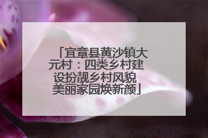 宜章县黄沙镇大元村：四类乡村建设扮靓乡村风貌 美丽家园焕新颜