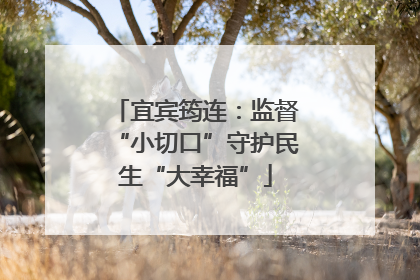 宜宾筠连：监督“小切口”守护民生“大幸福”
