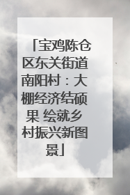 宝鸡陈仓区东关街道南阳村：大棚经济结硕果 绘就乡村振兴新图景