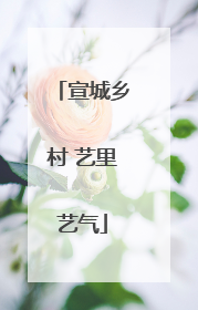 宣城乡村 艺里艺气
