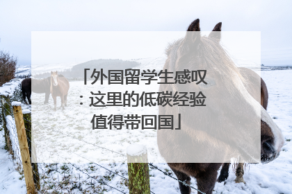 外国留学生感叹：这里的低碳经验值得带回国