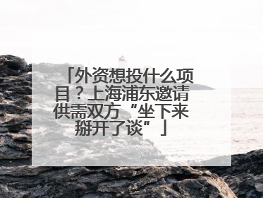 外资想投什么项目？上海浦东邀请供需双方“坐下来掰开了谈”