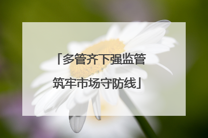 多管齐下强监管 筑牢市场守防线