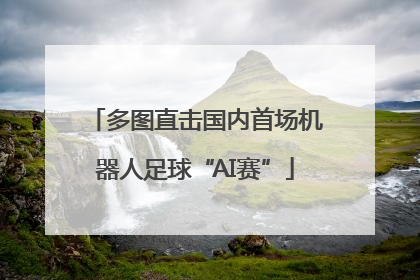 多图直击国内首场机器人足球“AI赛”