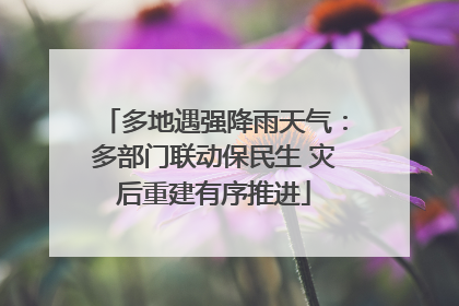 多地遇强降雨天气：多部门联动保民生 灾后重建有序推进