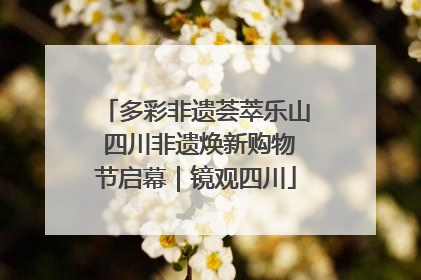 多彩非遗荟萃乐山 四川非遗焕新购物节启幕｜镜观四川