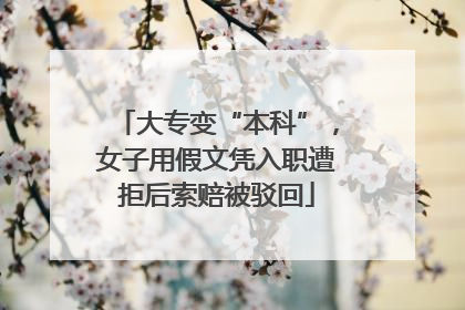 大专变“本科”，女子用假文凭入职遭拒后索赔被驳回