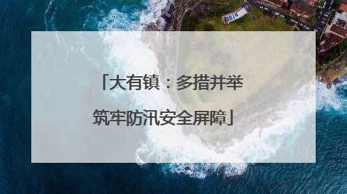 大有镇：多措并举筑牢防汛安全屏障