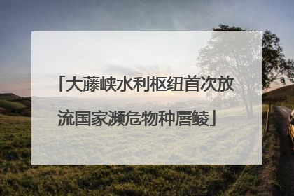 大藤峡水利枢纽首次放流国家濒危物种唇鲮