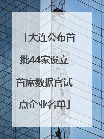大连公布首批44家设立首席数据官试点企业名单