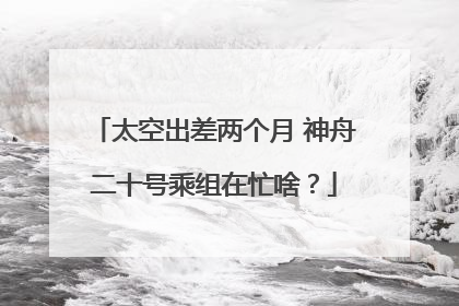 太空出差两个月 神舟二十号乘组在忙啥？