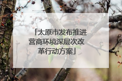 太原市发布推进营商环境深层次改革行动方案