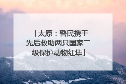 太原：警民携手 先后救助两只国家二级保护动物红隼