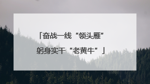 奋战一线“领头雁” 躬身实干“老黄牛”