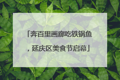 奔百里画廊吃铁锅鱼，延庆区美食节启幕