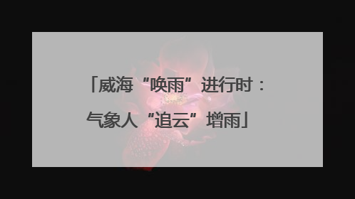 威海“唤雨”进行时：气象人“追云”增雨