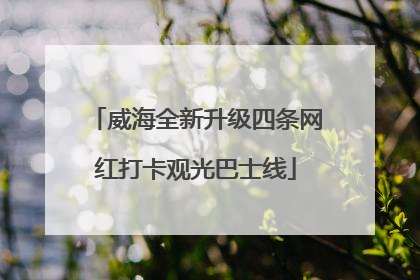 威海全新升级四条网红打卡观光巴士线