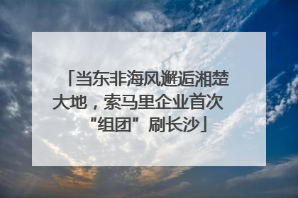 当东非海风邂逅湘楚大地，索马里企业首次“组团”刷长沙