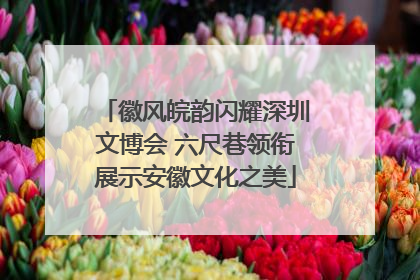 徽风皖韵闪耀深圳文博会 六尺巷领衔展示安徽文化之美