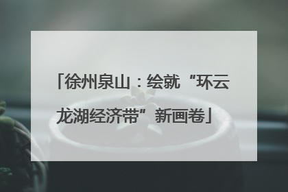 徐州泉山：绘就“环云龙湖经济带”新画卷