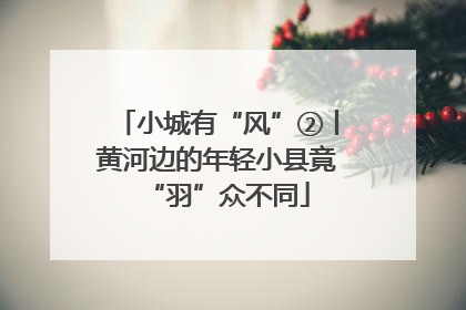 小城有“风”②丨黄河边的年轻小县竟“羽”众不同