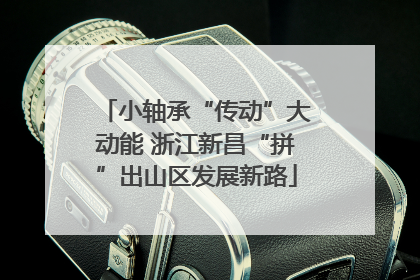 小轴承“传动”大动能 浙江新昌“拼”出山区发展新路