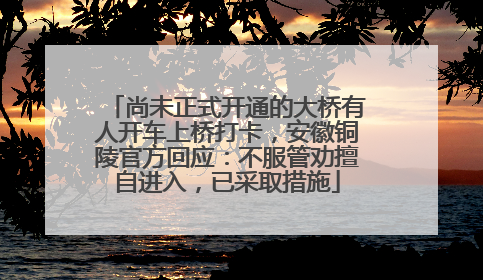 尚未正式开通的大桥有人开车上桥打卡，安徽铜陵官方回应：不服管劝擅自进入，已采取措施