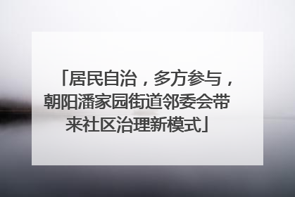 居民自治，多方参与，朝阳潘家园街道邻委会带来社区治理新模式