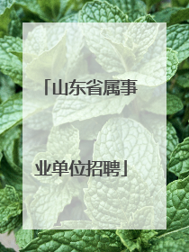 山东省属事业单位招聘
