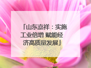 山东嘉祥：实施工业倍增 赋能经济高质量发展