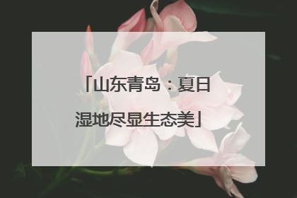 山东青岛：夏日湿地尽显生态美
