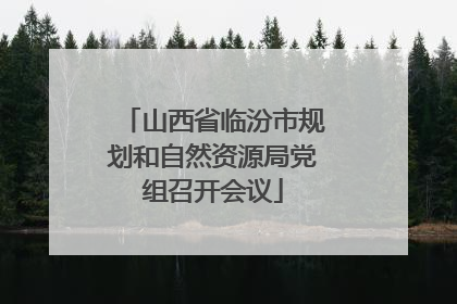山西省临汾市规划和自然资源局党组召开会议