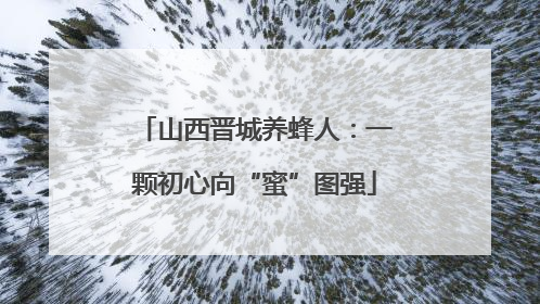 山西晋城养蜂人：一颗初心向“蜜”图强
