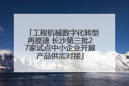 工程机械数字化转型再提速 长沙第三批27家试点中小企业开展产品供需对接