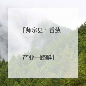 师宗县：香葱产业一路鲜