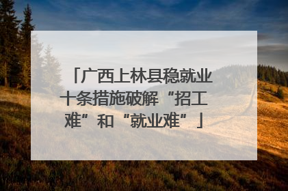 广西上林县稳就业十条措施破解“招工难”和“就业难”