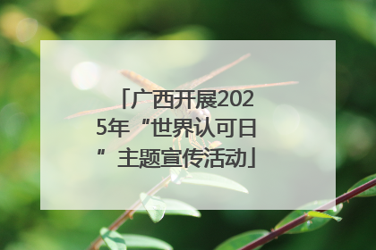 广西开展2025年“世界认可日”主题宣传活动