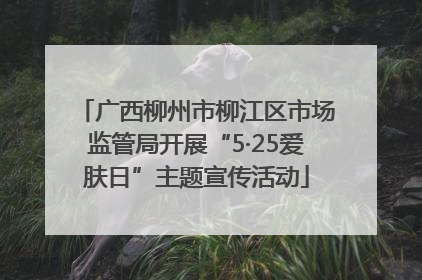 广西柳州市柳江区市场监管局开展“5·25爱肤日”主题宣传活动