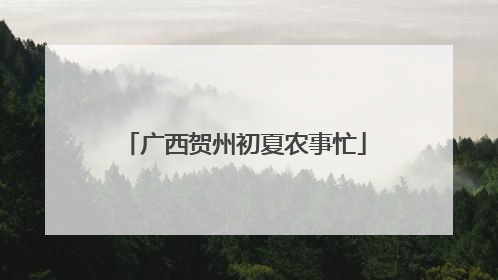 广西贺州初夏农事忙
