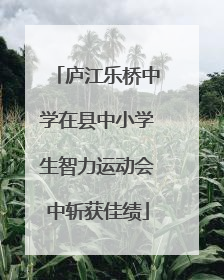 庐江乐桥中学在县中小学生智力运动会中斩获佳绩