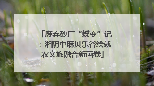 废弃砂厂“蝶变”记：湘阴中麻贝乐谷绘就农文旅融合新画卷