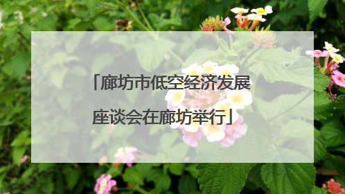 廊坊市低空经济发展座谈会在廊坊举行