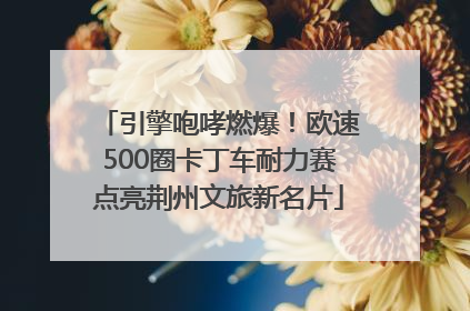 引擎咆哮燃爆！欧速500圈卡丁车耐力赛点亮荆州文旅新名片