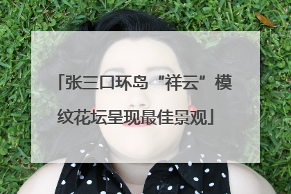张三口环岛“祥云”模纹花坛呈现最佳景观