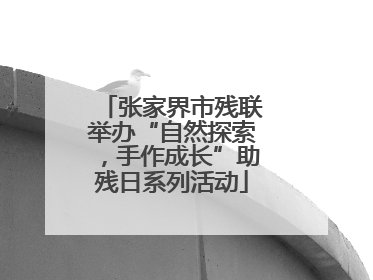 张家界市残联举办“自然探索，手作成长”助残日系列活动