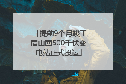 提前9个月竣工 眉山西500千伏变电站正式投运