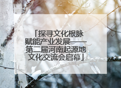 探寻文化根脉 赋能产业发展——第二届河南起源地文化交流会启幕