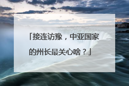 接连访豫，中亚国家的州长最关心啥？